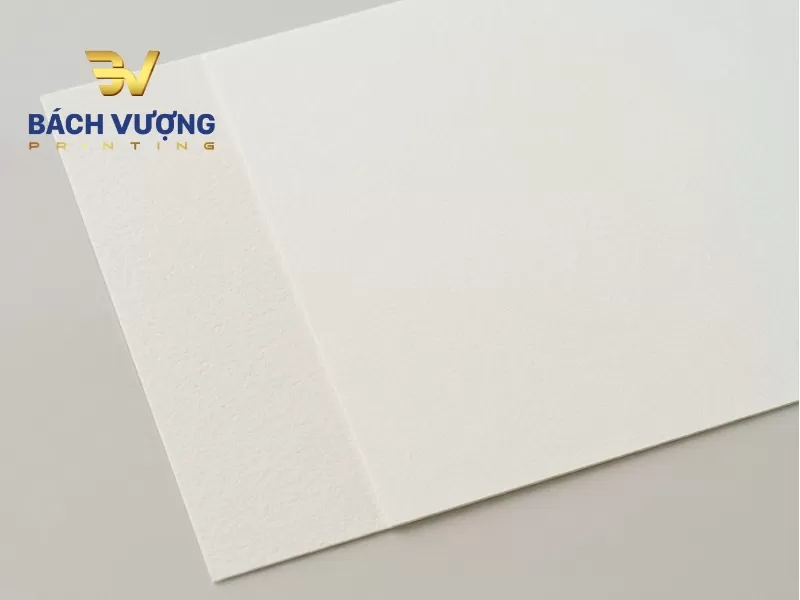 Cận cảnh ph&ocirc;i giấy Ivory m&agrave;u trắng ng&agrave; tự nhi&ecirc;n