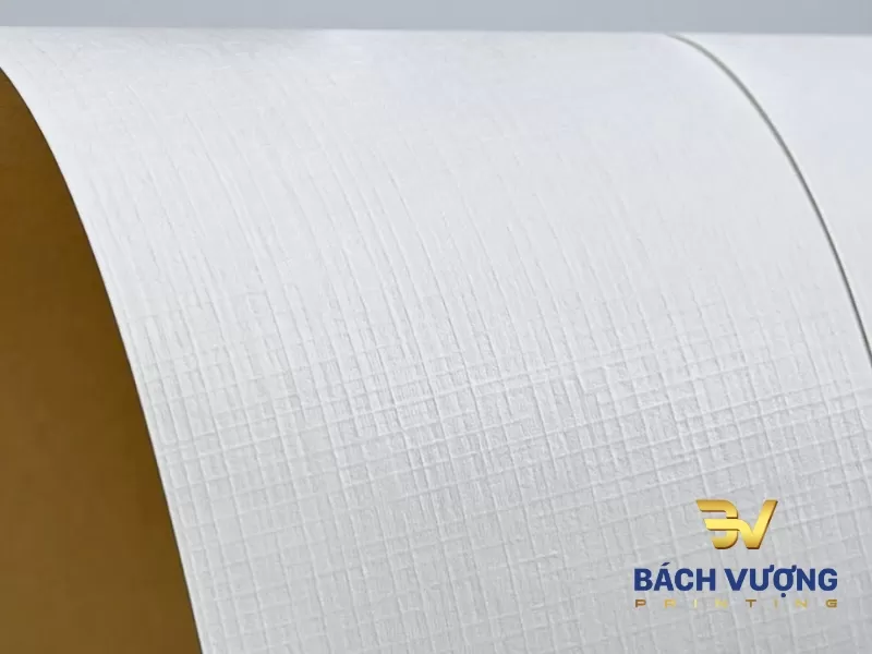 Giấy mỹ thuật v&acirc;n bố caro