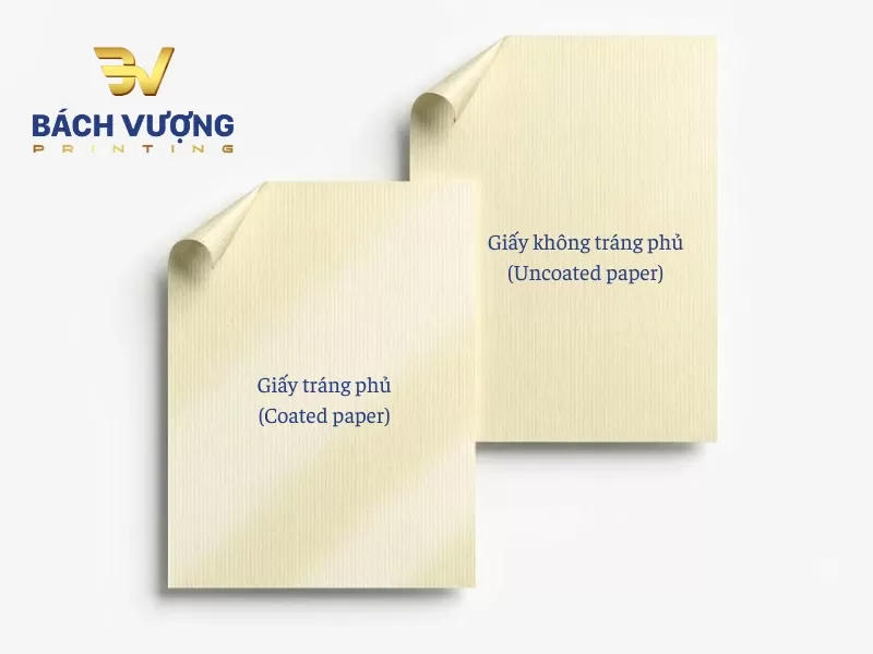 C&aacute;ch ph&acirc;n loại chất liệu giấy tr&aacute;ng phủ v&agrave; giấy kh&ocirc;ng tr&aacute;ng phủ trong in ấn bao b&igrave;