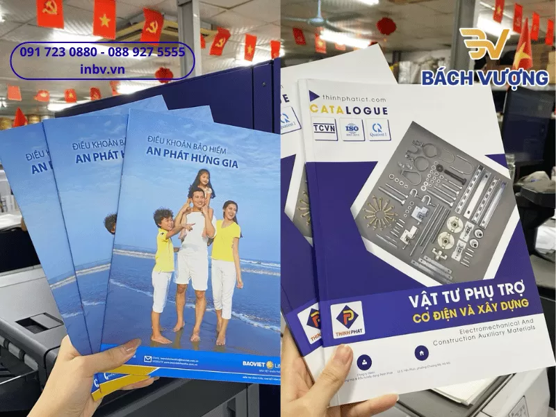 Tổng hợp mẫu in catalogue