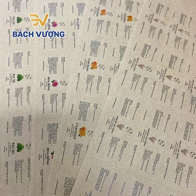 Kinh nghiệm chọn m&agrave;u sắc in tr&ecirc;n decal Kraft