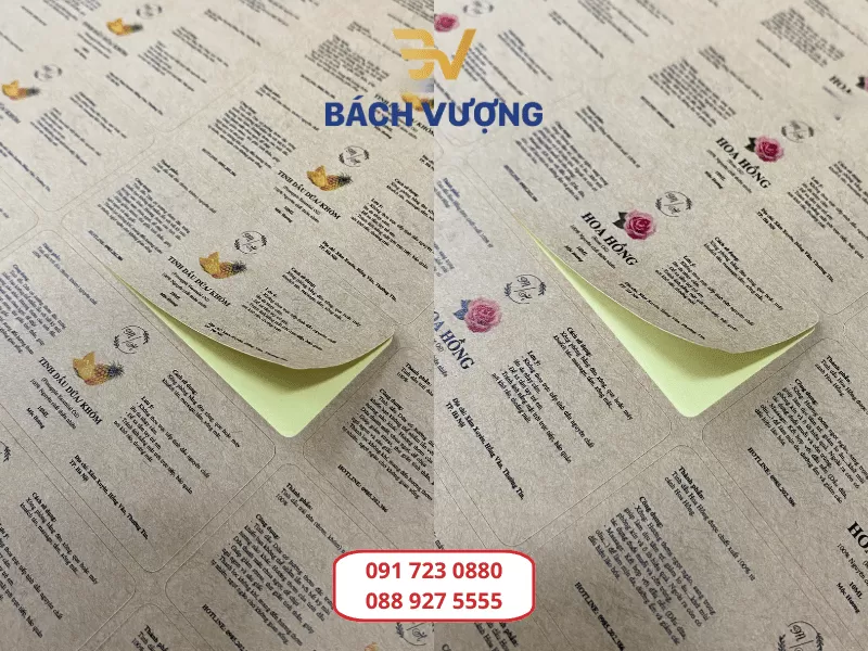 Kinh nghiệm chọn m&agrave;u sắc in tr&ecirc;n decal Kraft