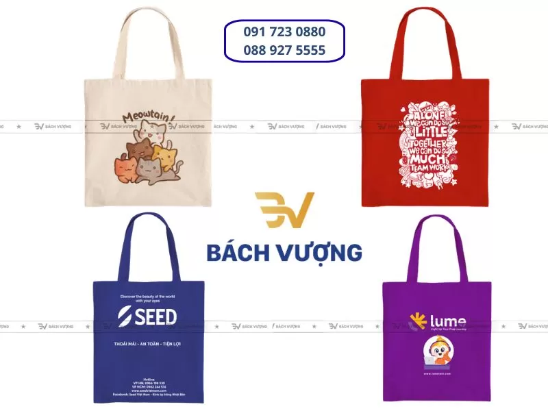 In t&uacute;i vải canvas theo y&ecirc;u cầu - B&aacute;ch Vượng