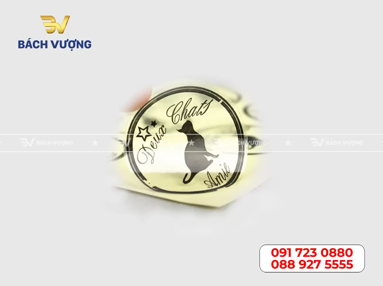 Mẫu decal nhựa trong 08
