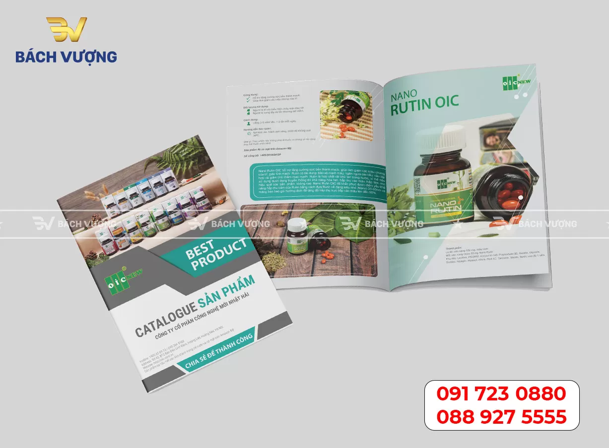 Mẫu catalogue - Mẫu 04