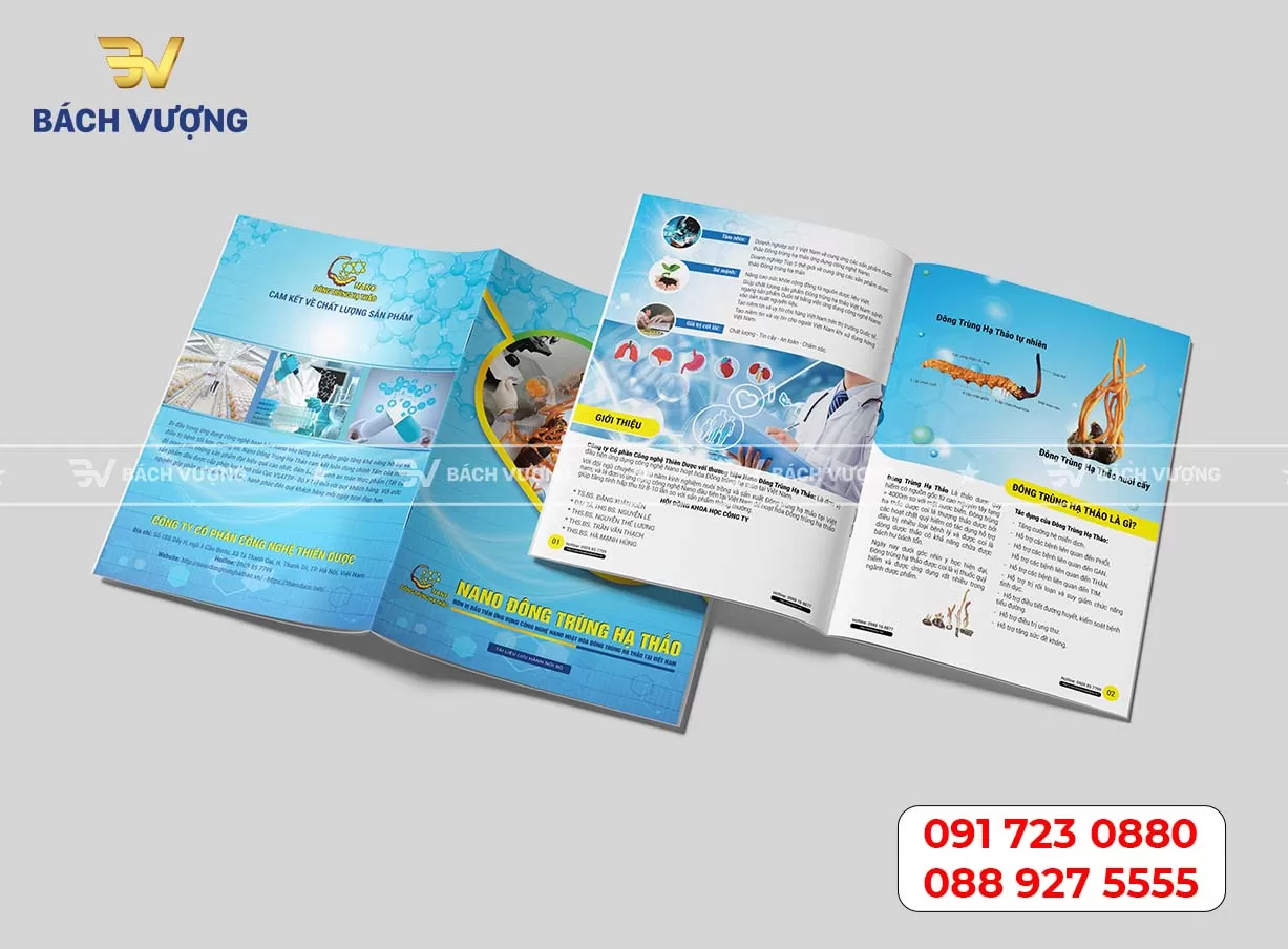 Mẫu catalogue - Mẫu 05