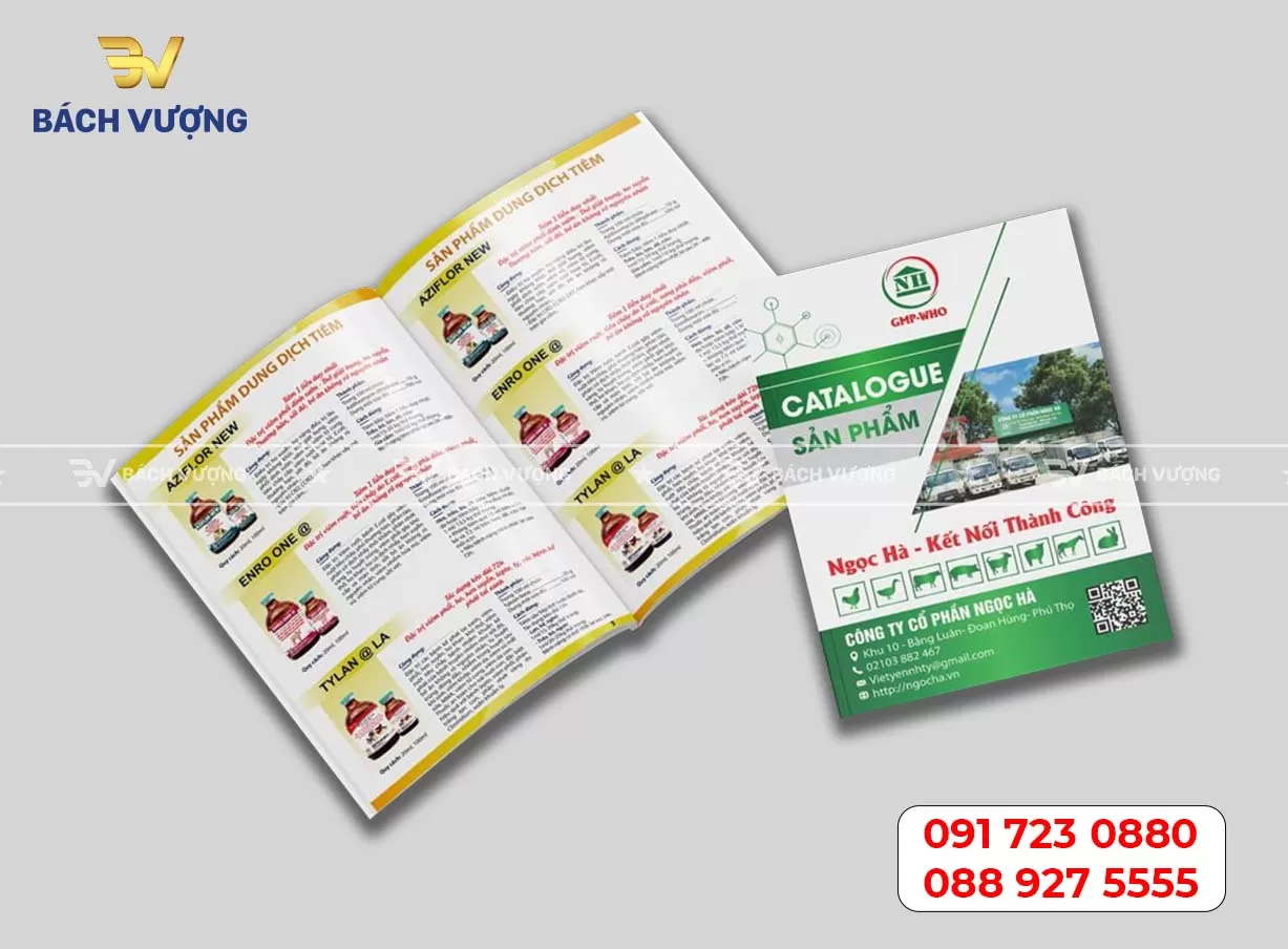 Mẫu catalogue - Mẫu 14