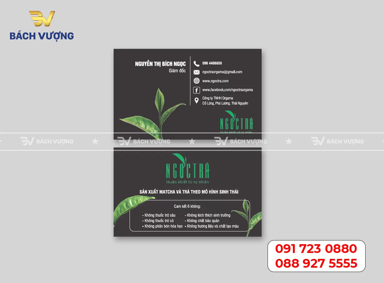 Mẫu card visit - Mẫu 07