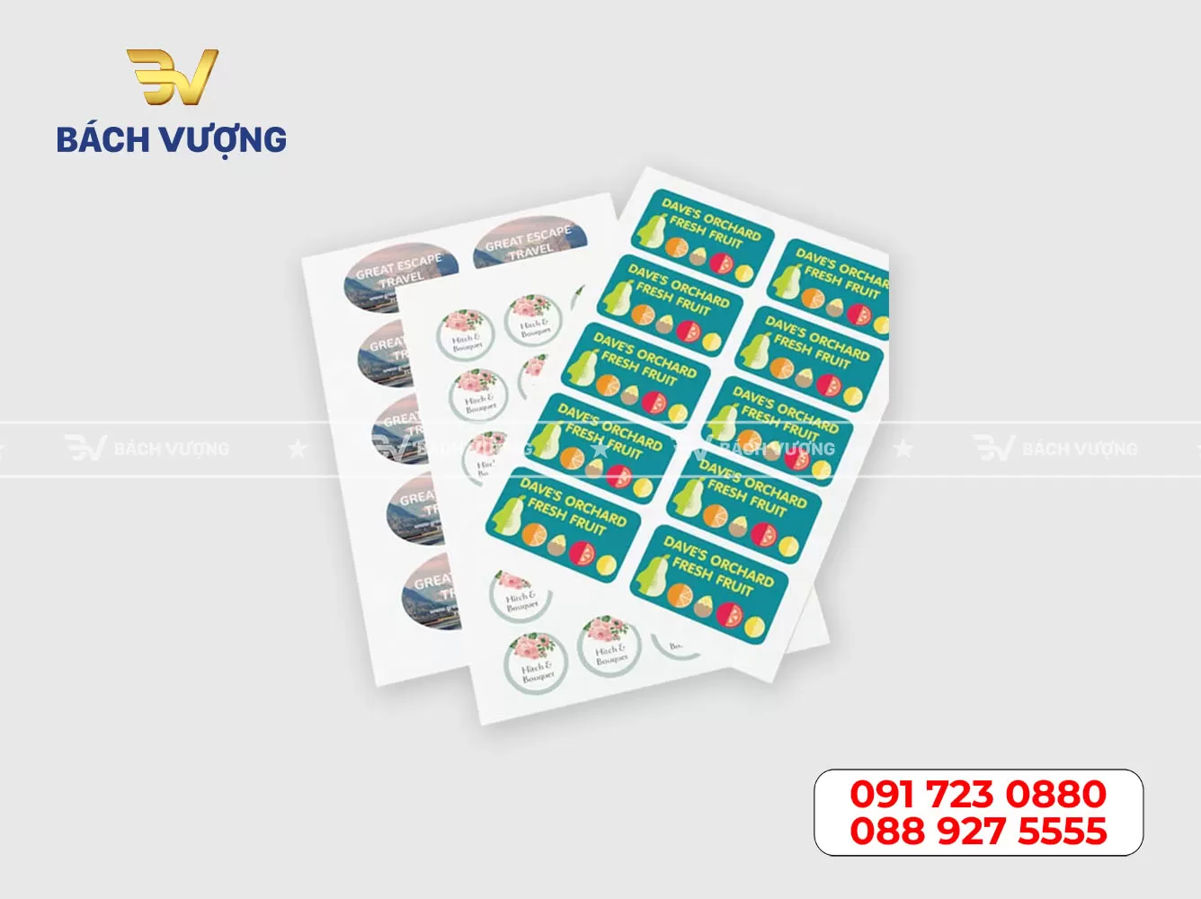 mẫu sticker 02