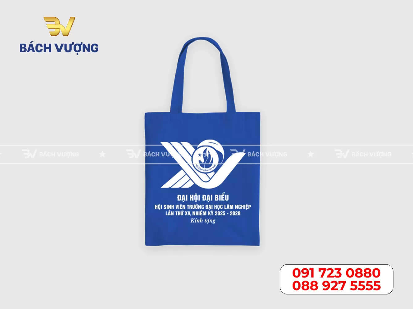 Mẫu túi canvas - 01