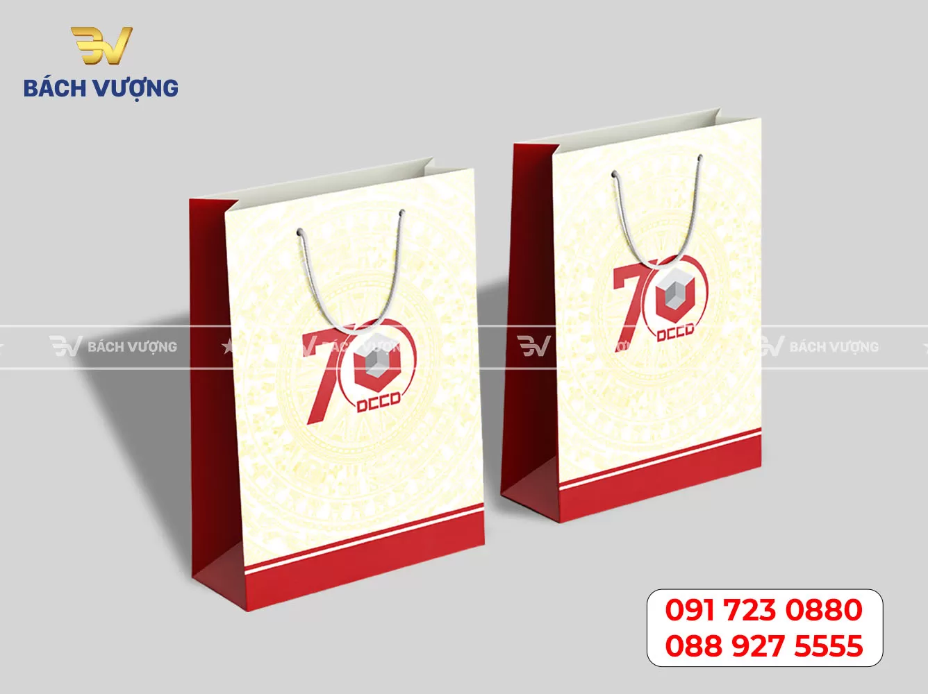Mẫu túi giấy 11