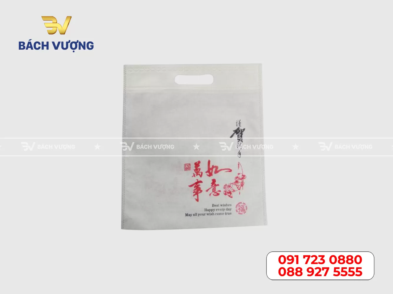 Mẫu túi vải không dệt 19