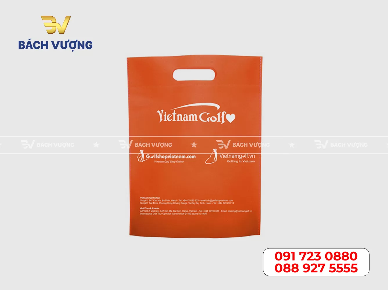 Mẫu túi vải không dệt 03