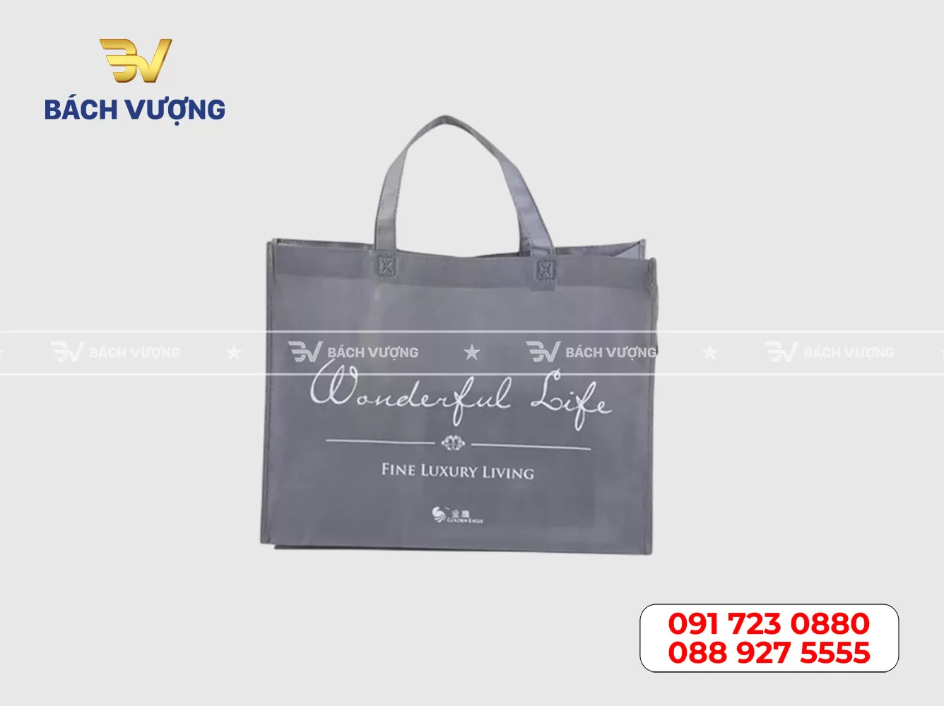 Mẫu túi vải không dệt 20