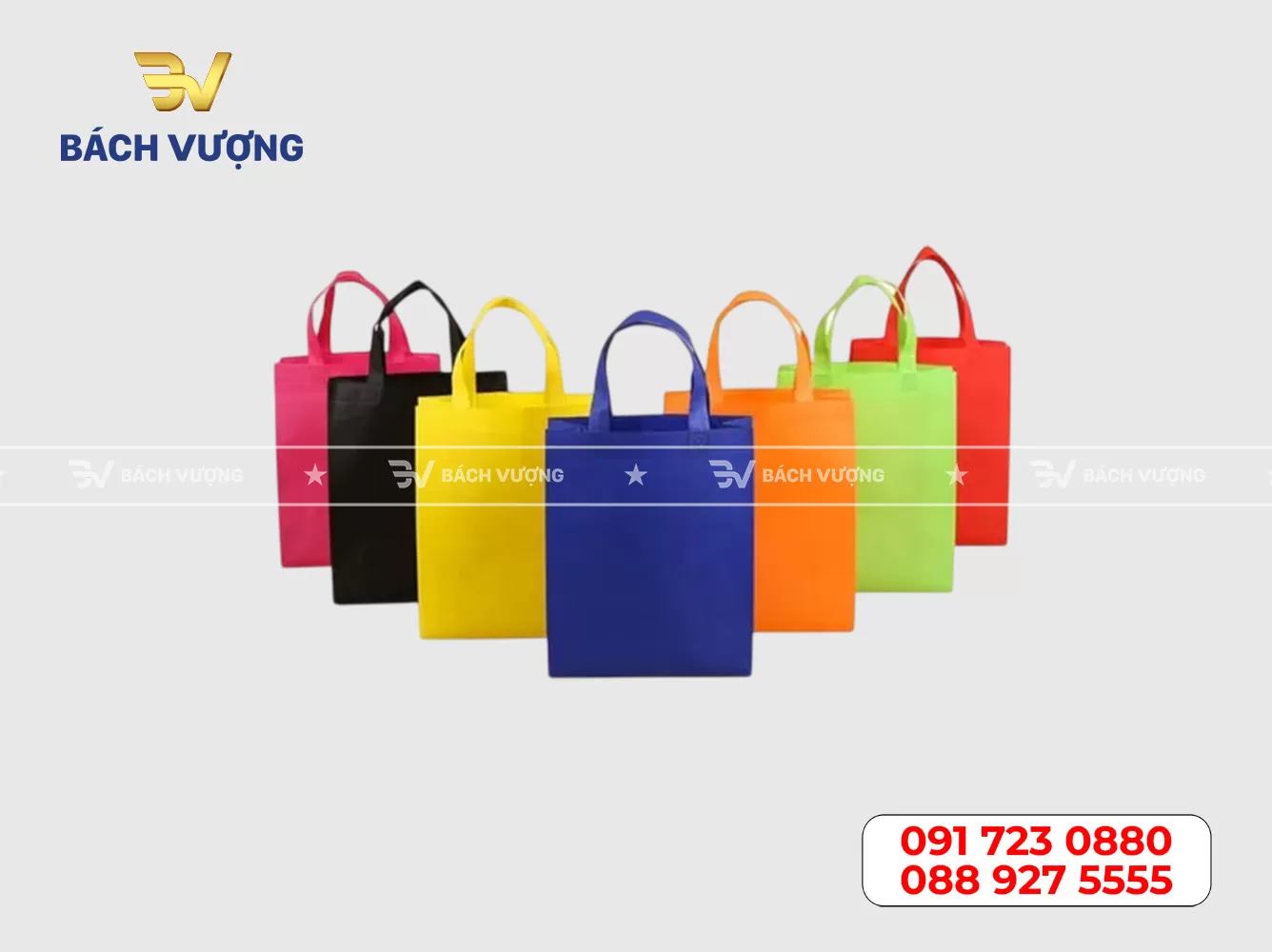 Mẫu túi vải không dệt 12
