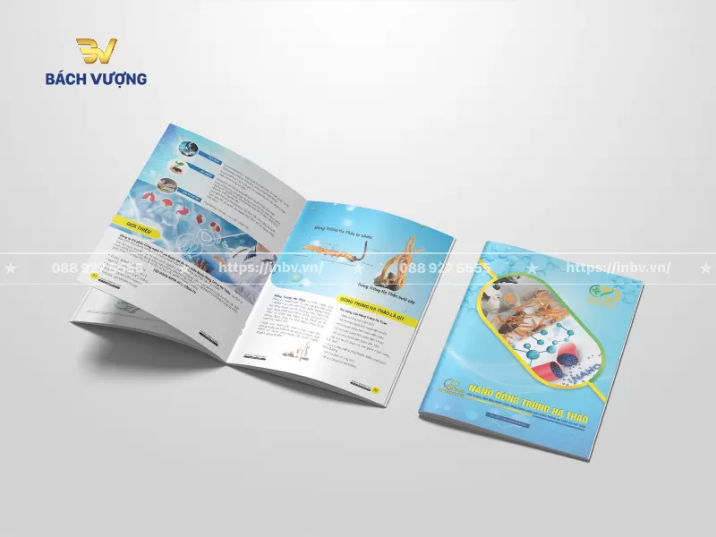 40+ Mẫu catalogue dịch vụ chăm sóc sức khoẻ đẹp