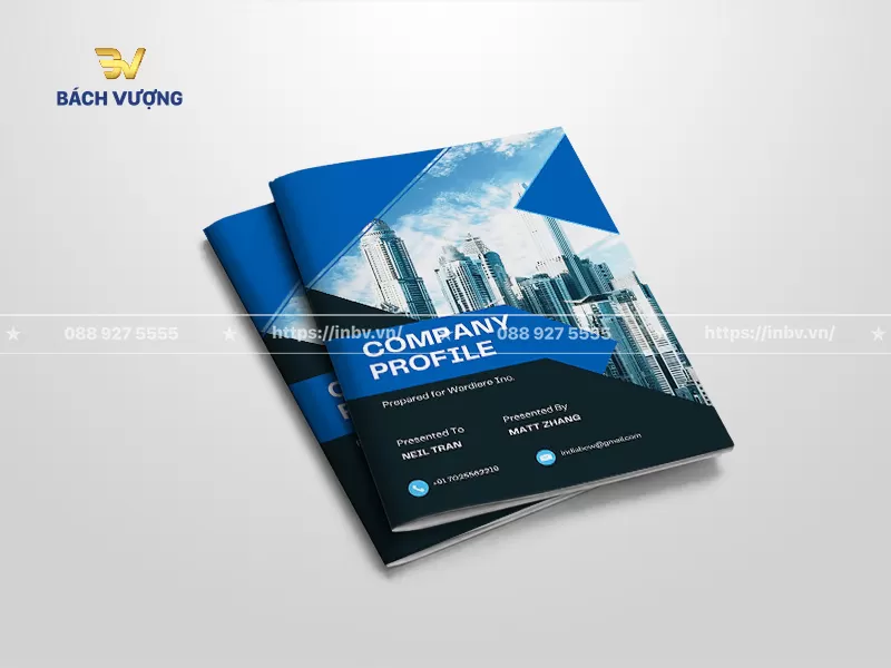 30+ Mẫu catalogue giới thiệu công ty