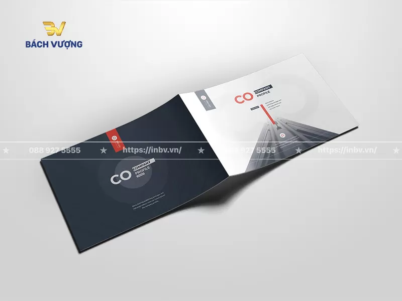 30+ Mẫu catalogue giới thiệu công ty