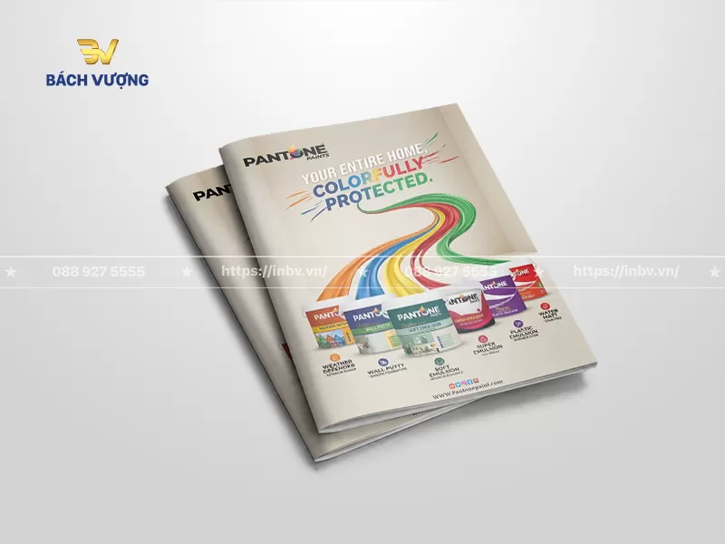 25+ Mẫu catalogue sơn đẹp, độc đáo & chuyên nghiệp