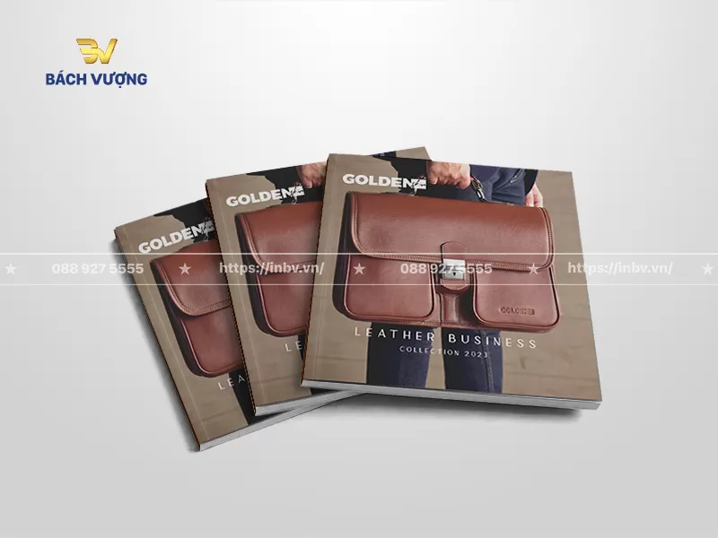 50+ Mẫu catalogue túi xách sáng tạo & bắt kịp xu hướng