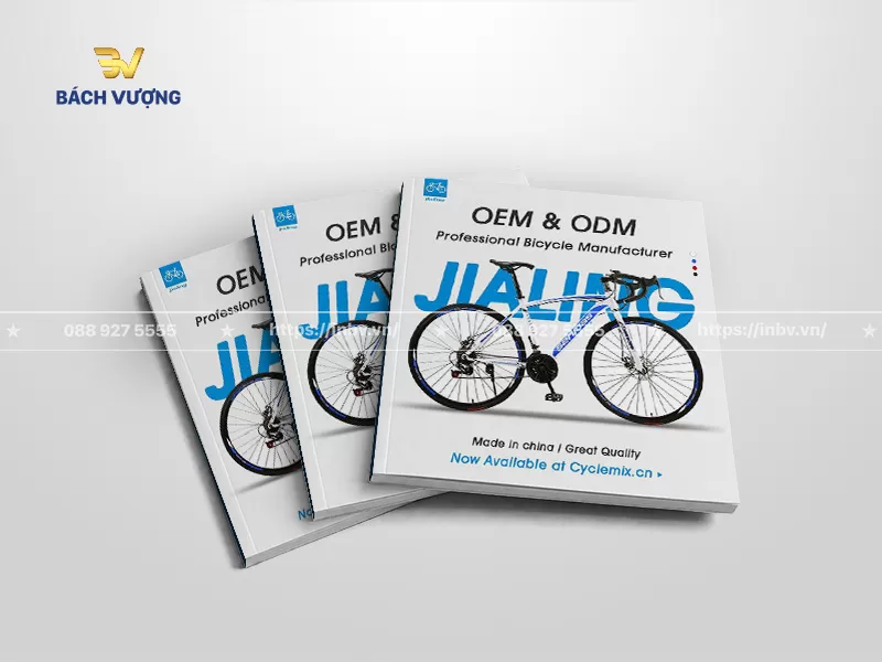 40+ Mẫu catalogue xe đạp đẹp, chuyên nghiệp & uy tín