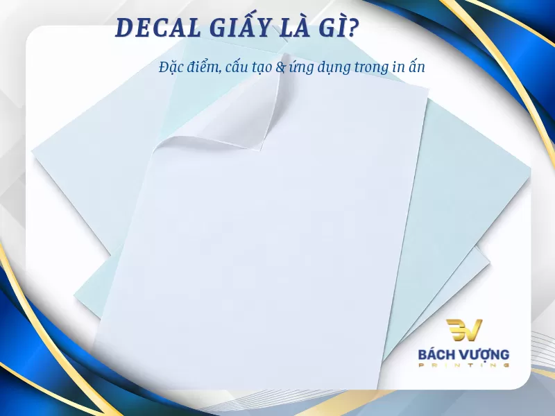 Decal giấy là gì? Cấu tạo, đặc điểm, phân loại & cách chọn