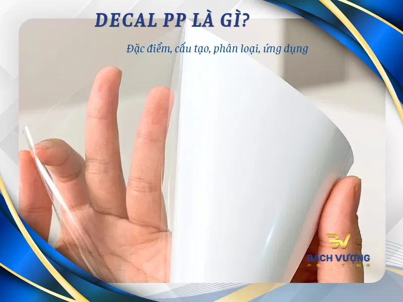 Decal PP là gì? Cấu tạo, đặc điểm, ứng dụng & cách dùng