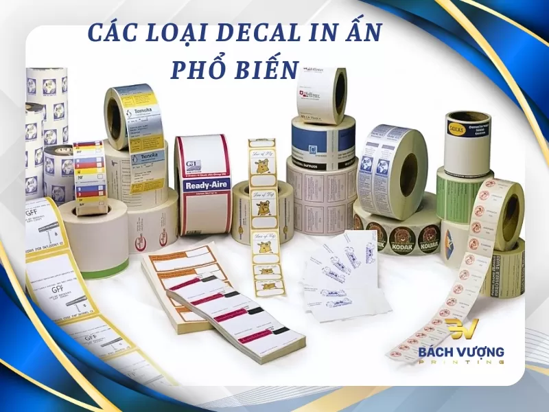 Các loại decal in ấn phổ biến hiện nay & cách chọn