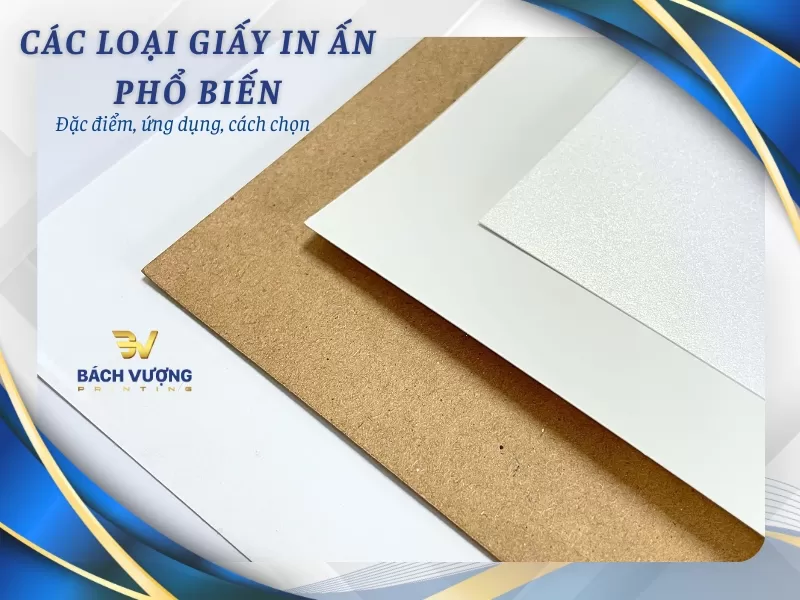 Các Loại Giấy In Ấn Phổ Biến Nhất Hiện Nay: Đặc Điểm, Ứng Dụng & Cách Chọn