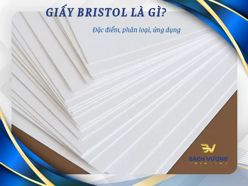 Giấy Bristol là gì? Đặc điểm, phân loại và ứng dụng