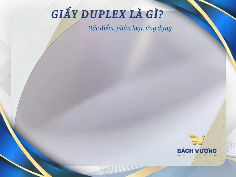 Giấy Duplex là gì? Phân loại, đặc điểm và ứng dụng