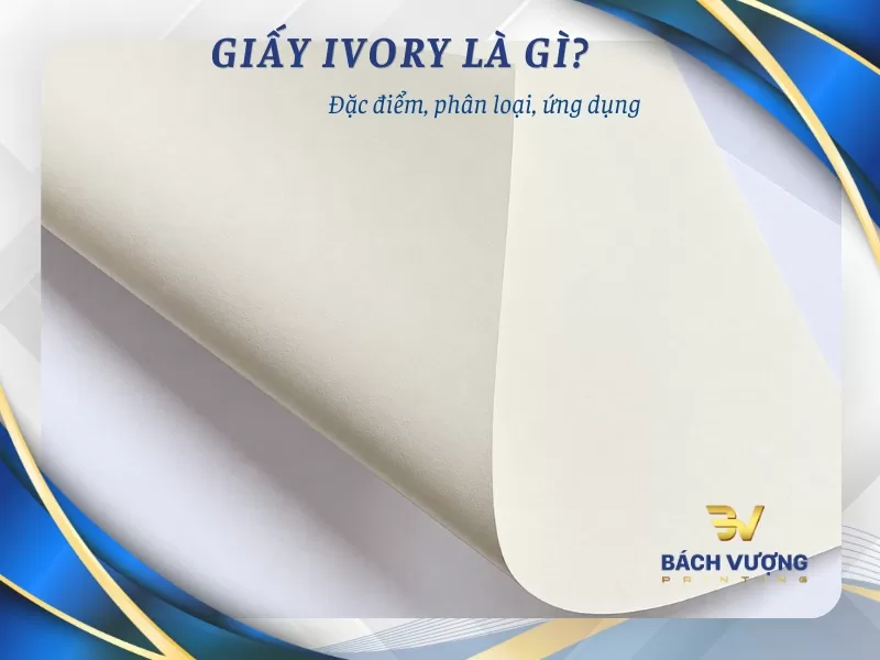 Giấy Ivory là gì? Phân loại, đặc điểm và ứng dụng