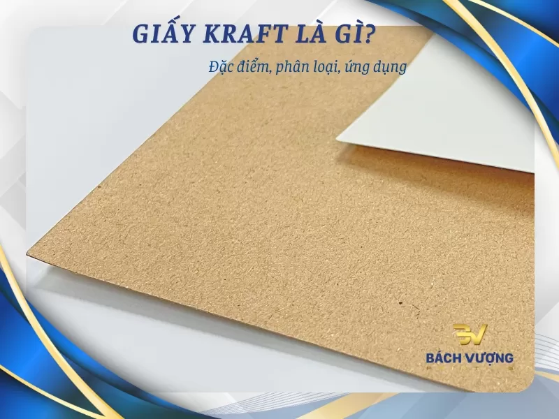 Giấy Kraft là gì? Đặc điểm, phân loại và ứng dụng
